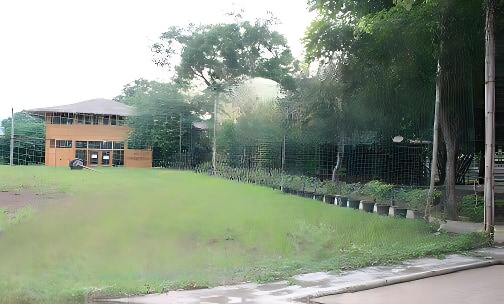 DLRC School — photo 2