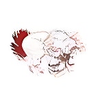 Dolna Day School logo