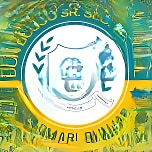 Don Bosco Sr. Sec. School logo