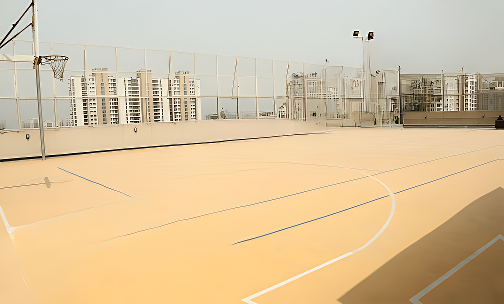 DPS International Edge — photo 2
