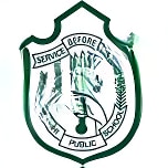 DPS International School logo
