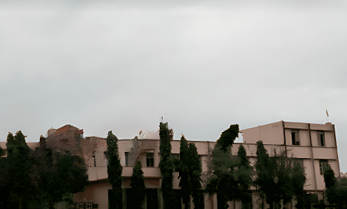 DPS Senior Secondary School — photo 2