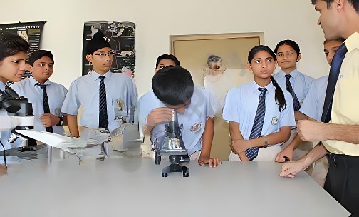 DPSG — photo 3