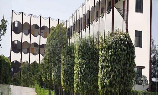 DVM High School — photo 1
