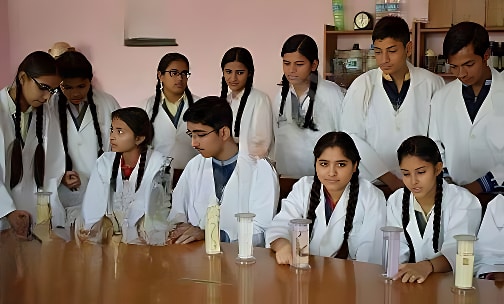 DVM High School — photo 2