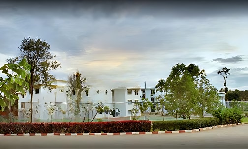 Edify School — photo 1