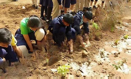 Edify School — photo 4