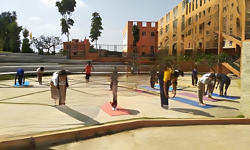 Edify School — photo 11
