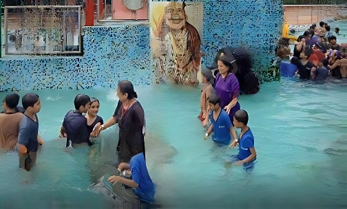 Edify World School — photo 5