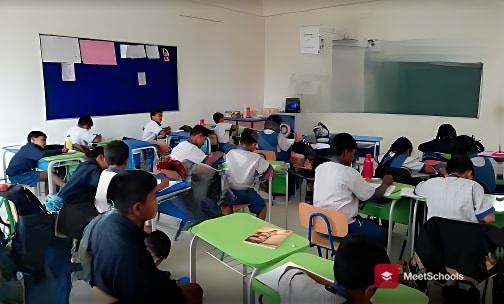 Endeavour Academy — photo 12