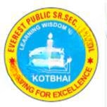 Everest Public Senior Secondary School logo