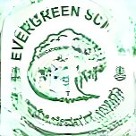 Evergreen Hs logo