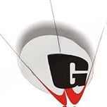 G.D. Goenka Public School logo