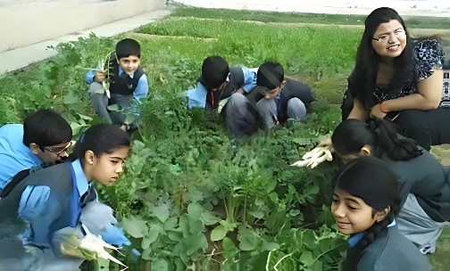 GEMS International School — photo 3