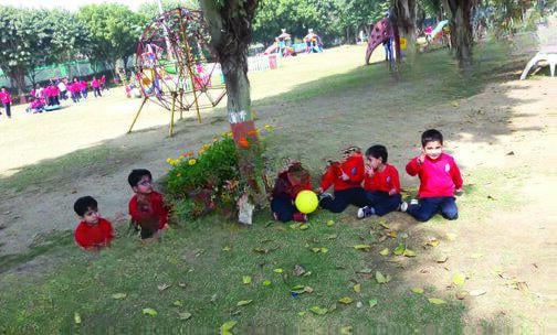 Gold Field Public School — photo 4