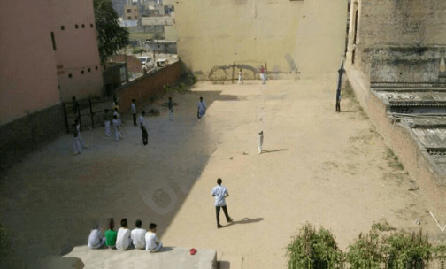 Gold Field Public School — photo 7