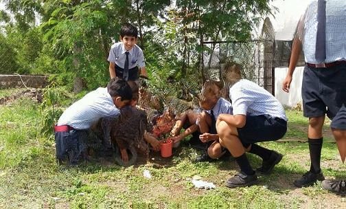 Good Shepherd School — photo 7