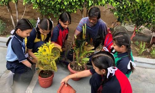 Gurusharan Convent School — photo 8