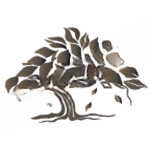 HAL Public School logo