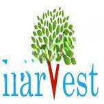 Harvest International School logo
