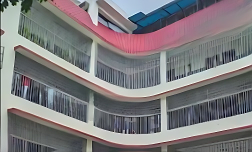 Herendra Leela Patranavis School — photo 1