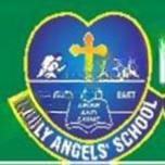 Holy Angels High School And Junior College logo
