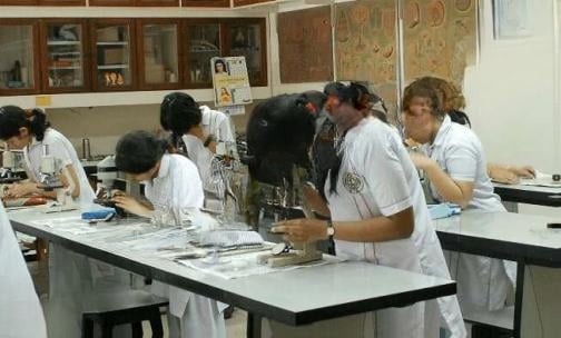 Holy Child Auxilium School — photo 2