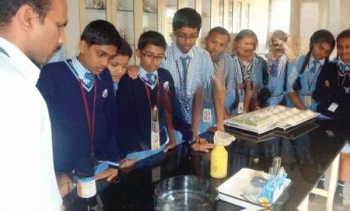 Holy Child Convent School — photo 6