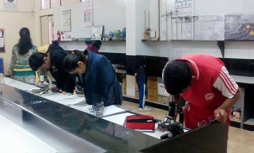 Horizon Academy — photo 12