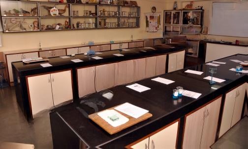 IES Modern English School — photo 4