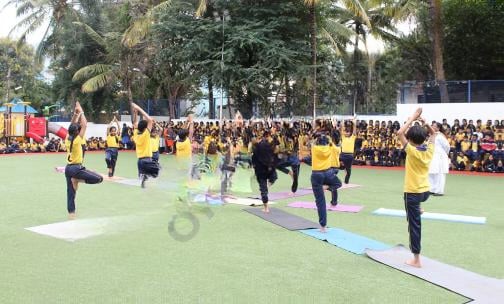 Insight Academy — photo 10