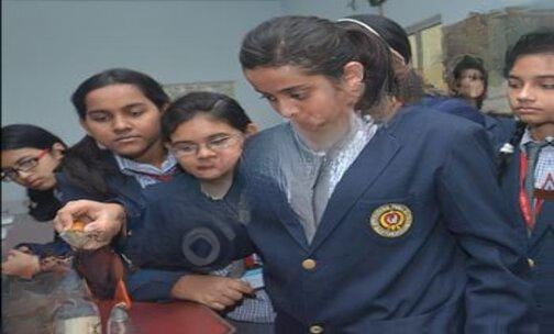 International Public School — photo 7