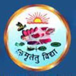ITI Central School logo