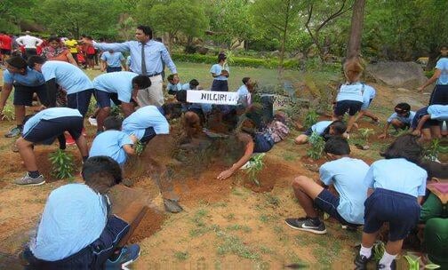 Ivy League Academy — photo 5