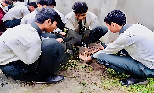 Jibreel International School — photo 11