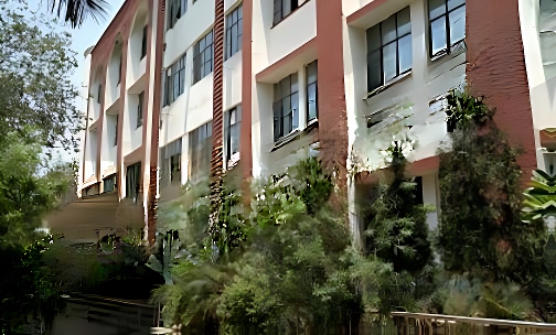 JN International School — photo 2