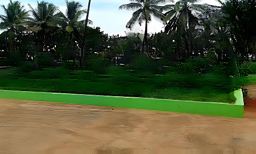 Kesar The International School — photo 1
