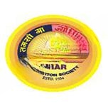 Khar Education Society logo
