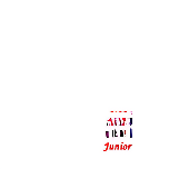 KIIT World School Junior logo