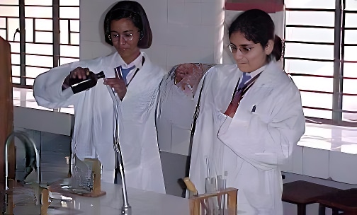 Lal Bahadur Shastri School — photo 6