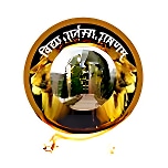 Lions Public School logo