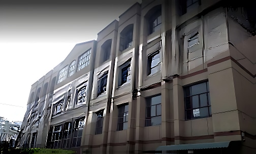 Little Fairy Public School — photo 1
