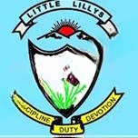 Little Lillys English Public School logo