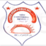 Little Star Public School logo