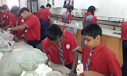 M.P. Shah English High School — photo 8