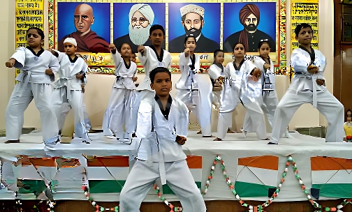 Maharishi Dayanand Public School — photo 6