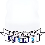 Mahavir Senior Model School logo