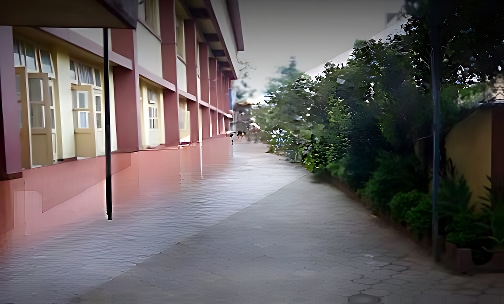 Mary Immaculate Girls’ High School — photo 4