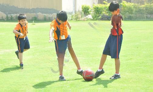 Maxfort School — photo 16