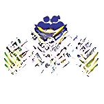 MDH International School logo